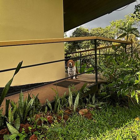 Modern Loft Inside A Beautiful Farm General Viejo Exterior foto