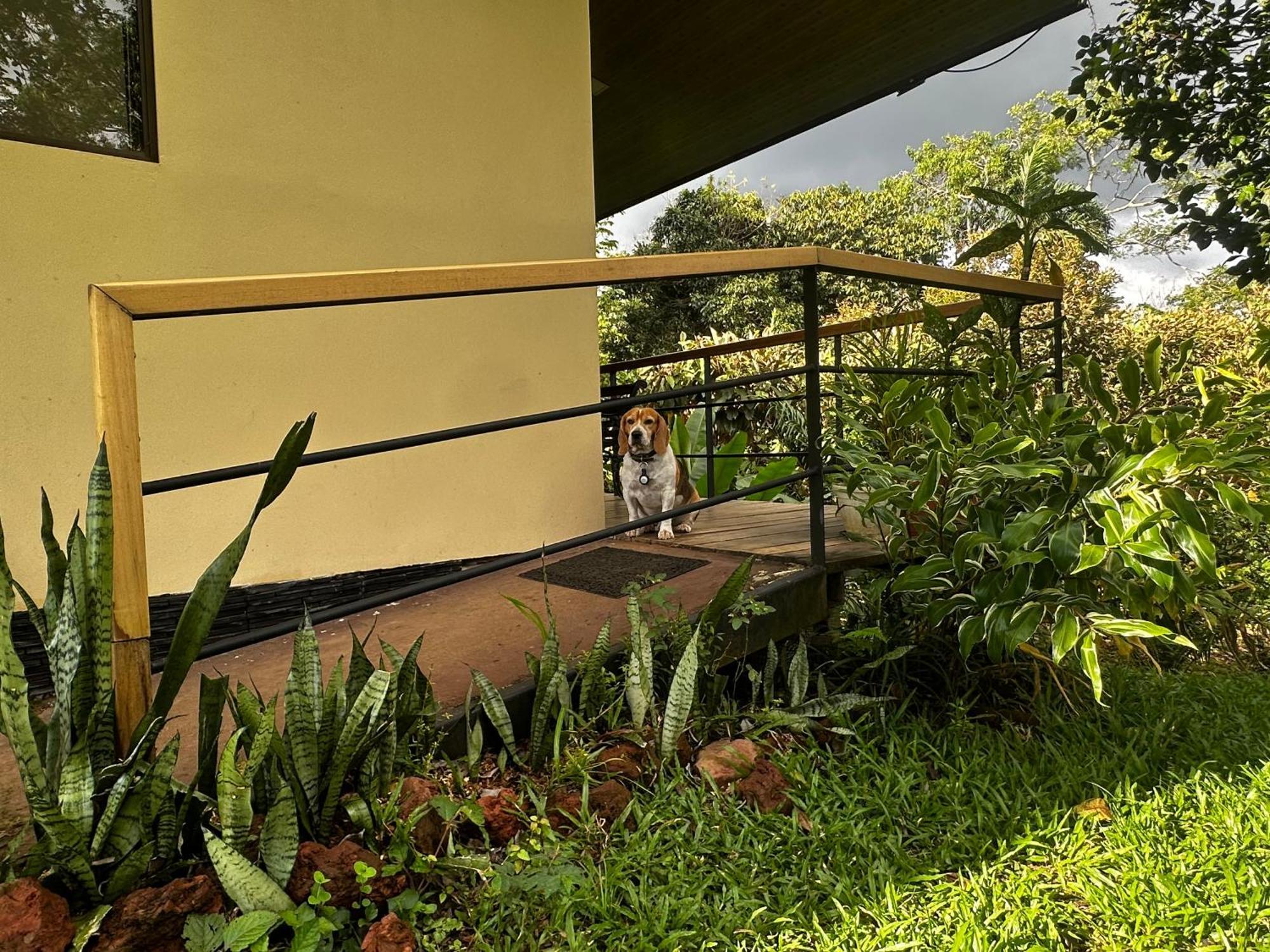 Modern Loft Inside A Beautiful Farm General Viejo Exterior foto