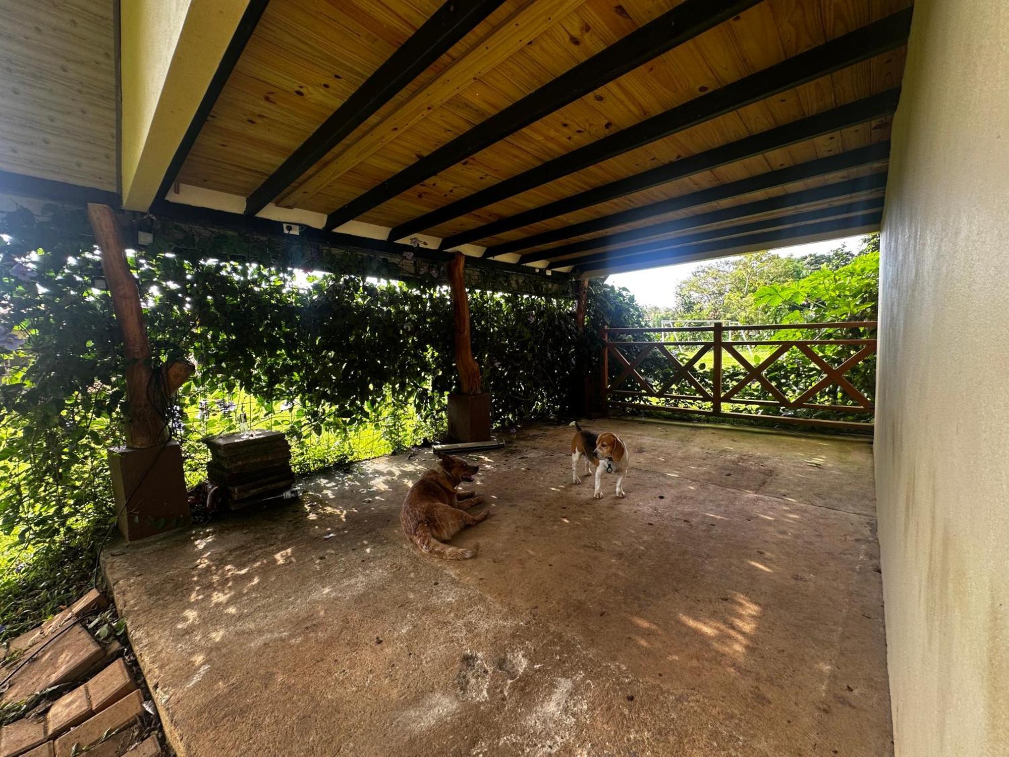 Modern Loft Inside A Beautiful Farm General Viejo Exterior foto